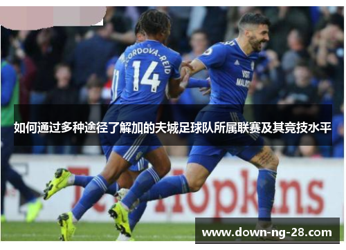 如何通过多种途径了解加的夫城足球队所属联赛及其竞技水平 如何通过多种途径了解加的夫城足球队所属联赛及其竞技水平