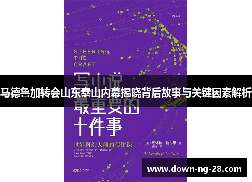 马德鲁加转会山东泰山内幕揭晓背后故事与关键因素解析