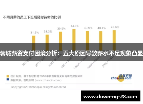 蓉城薪资支付困境分析:五大原因导致薪水不足现象凸显 蓉城薪资支付困境分析:五大原因导致薪水不足现象凸显